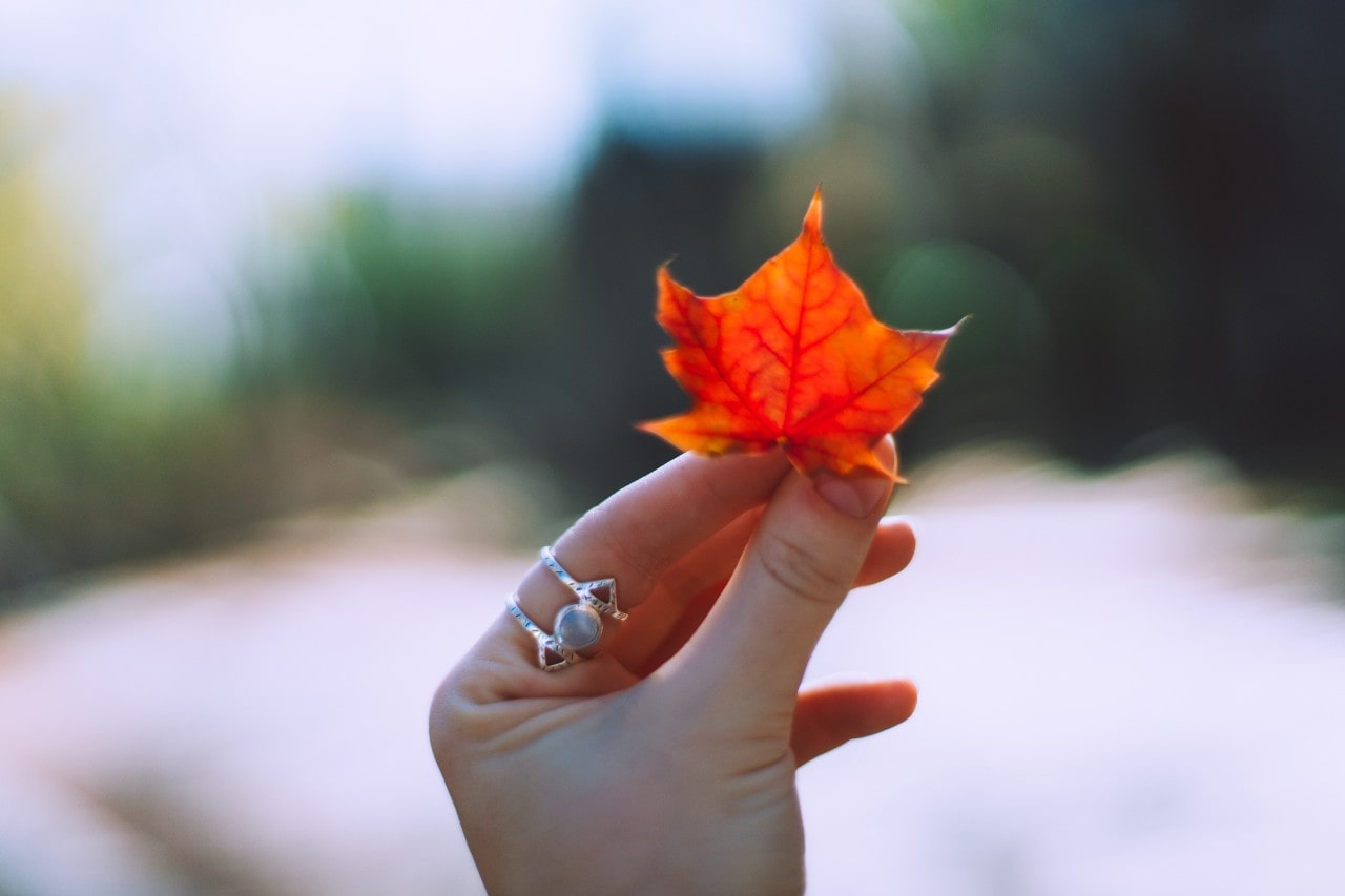 an extended hand holding up an orange leaf and wearing a white gold and opal ring