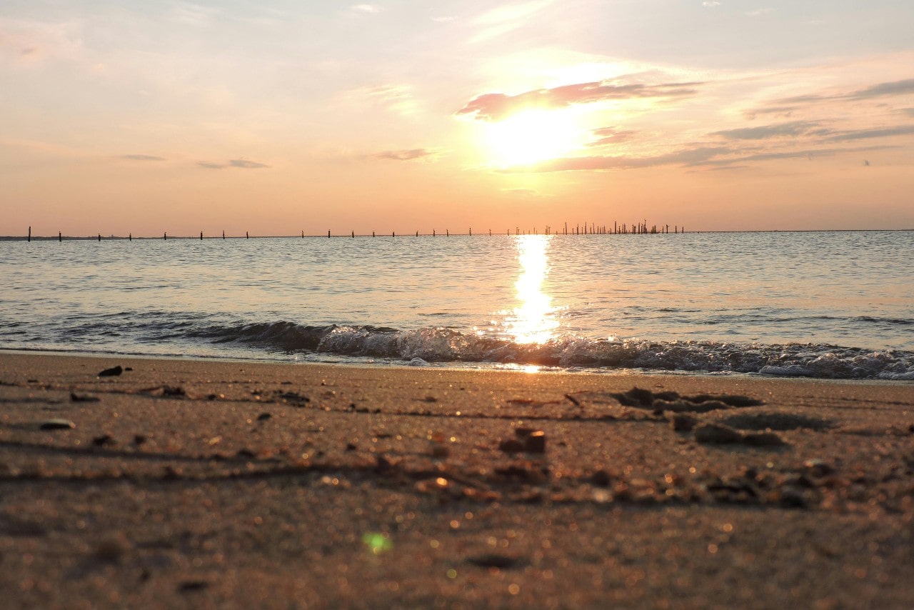 A photo of the Virginia Beach shore with a pier in the distance.