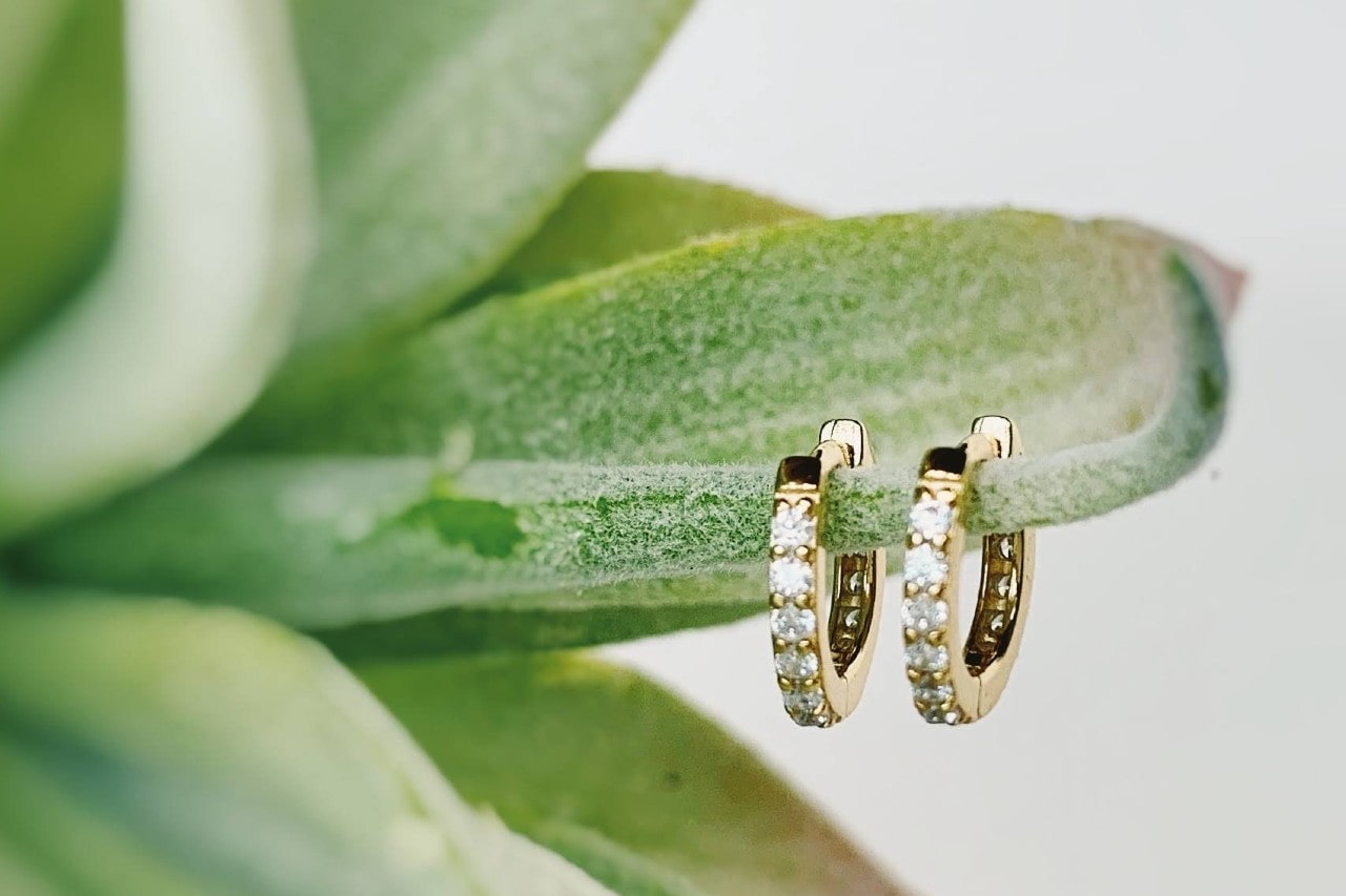 a pair of yellow gold diamond huggies hanging on a succulent plant
