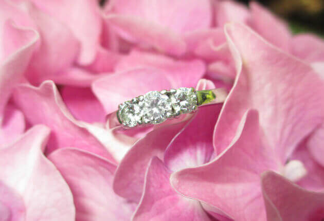 Engagement Ring on Flower